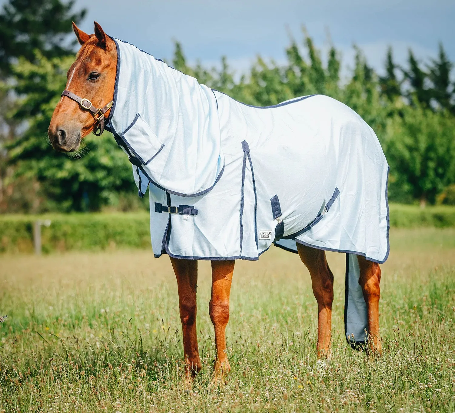 Baby Blue Mesh Combo with Tail Bag (Pony)