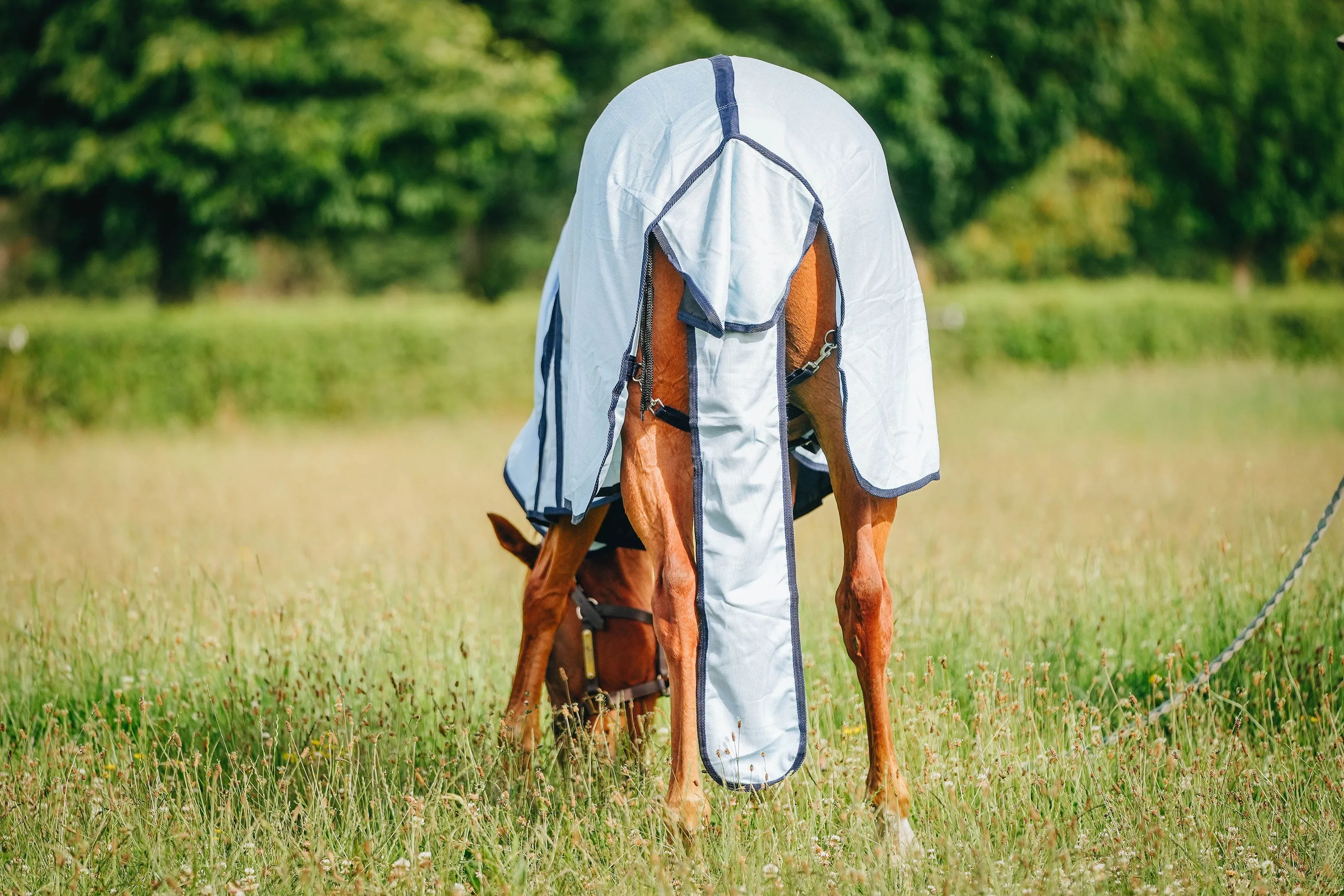 Baby Blue Mesh Combo with Tail Bag (Pony)