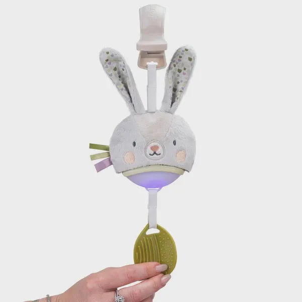 Garden Stroller Bunny Musical Toy for Babies