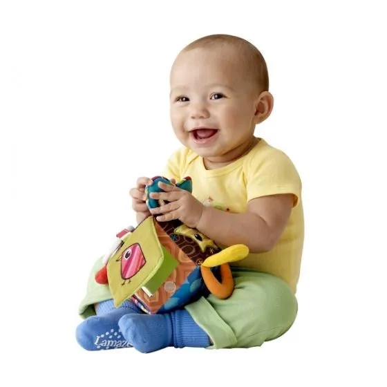 Lamaze Clutch Cube