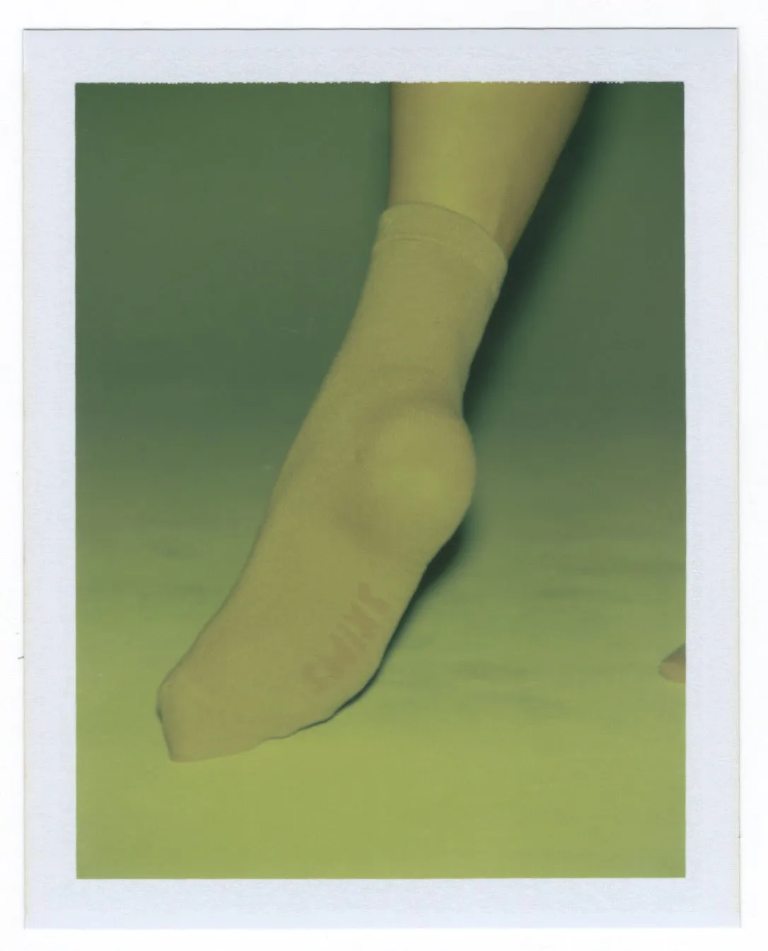 MICROPOLY CREW SOCK | OCHRE